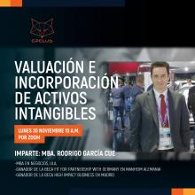 Curso de valuación de activos intangibles